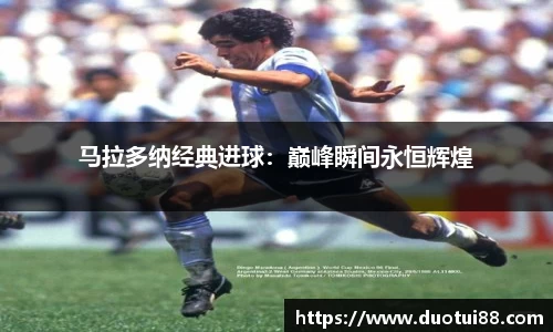 万博(max·中国)体育官方网站